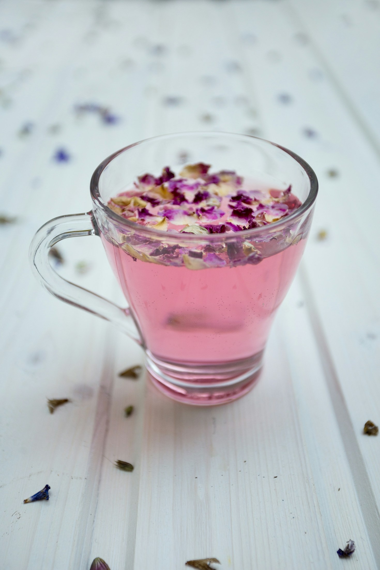 A Beginner’s Guide to Herbal Medicine