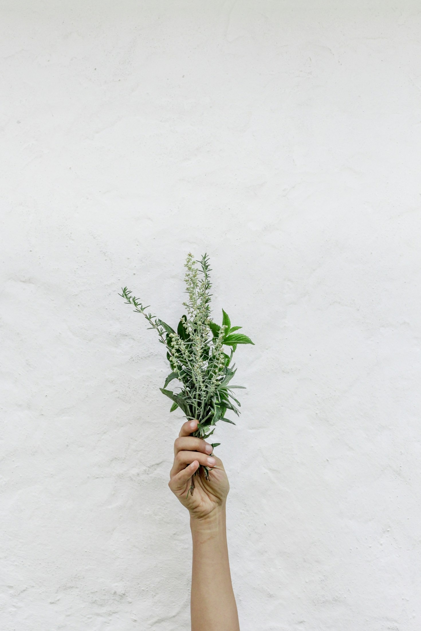 Herbal Teas for Relaxation and Vitality