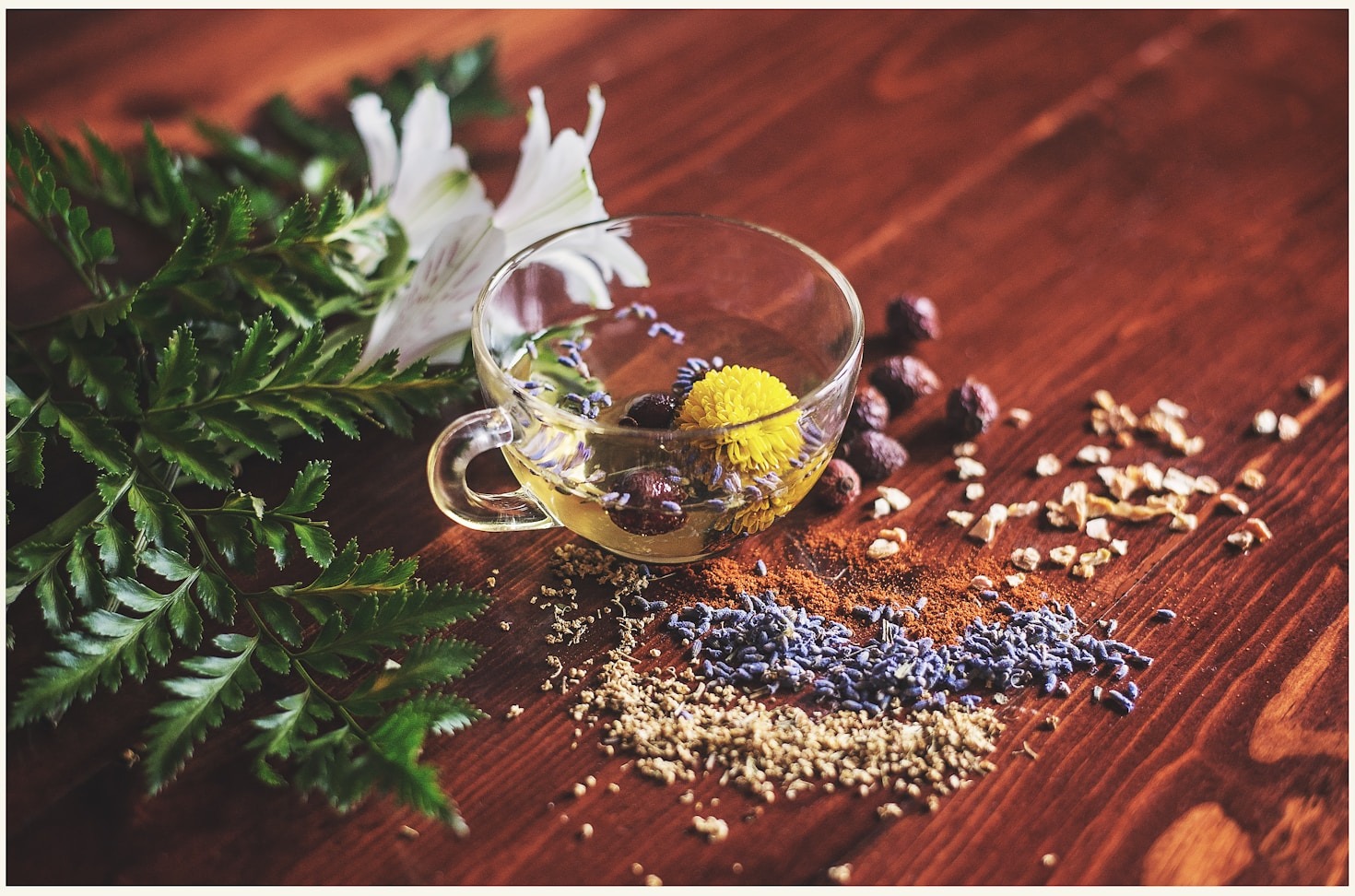 Natural Solutions for Common Ailments